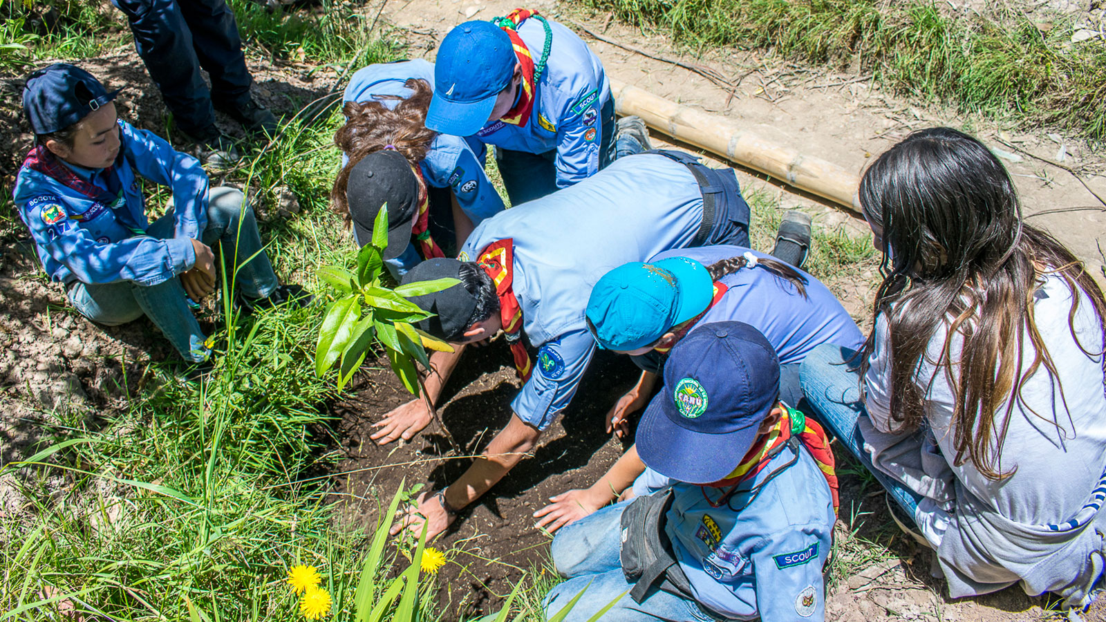 Plantación de árboles en Nodo Cerros Orientales - Scouts de Bogotá