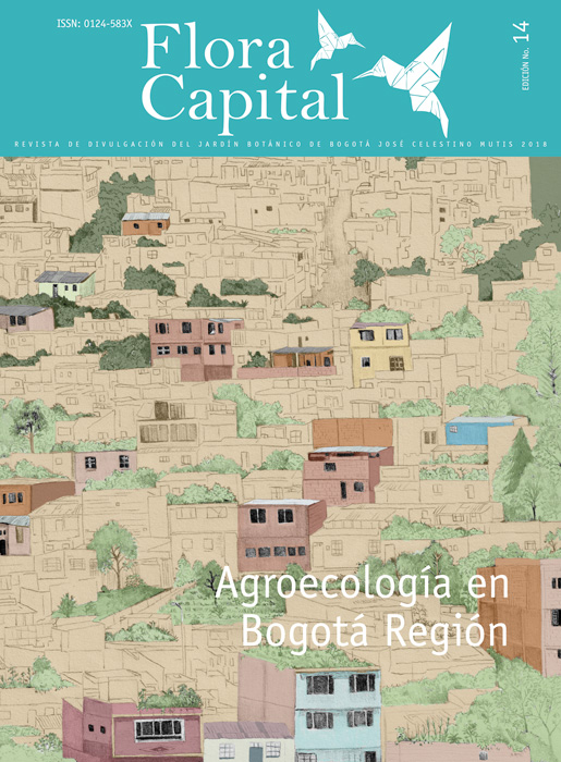 Revista Flora Capital No. 14