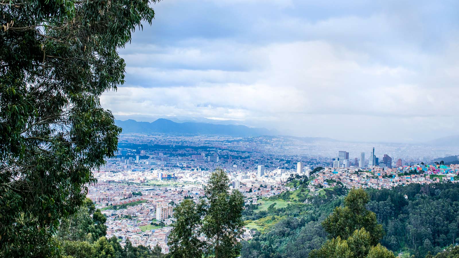 Territorio y ecosistema (cerros orientales, Bogotá)